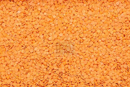 Photo for Blank macro photography of raw red lentil, legume, groat; health; vegetarian; natural; carbohydrates; closeup - Royalty Free Image