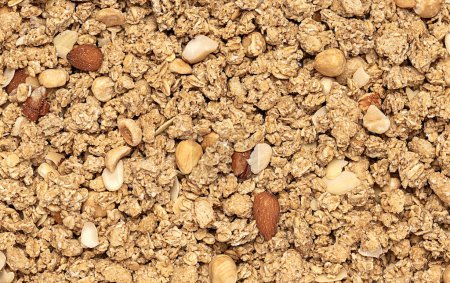 Photo for Macro blank photography of oat and barley flakes, wholegrain, chunky, crisp, roasted nuts, almond, hazelnut, pecan, snack, breakfast, branch - Royalty Free Image