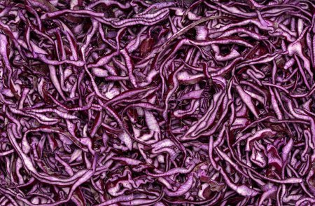 Photo for Macro blank photography of sliced red cabbage, salad, slice, purple, ingredient, organic; diet; vegetarian; vegetable; vegan; background; - Royalty Free Image