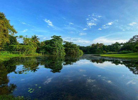 Téléchargez les photos : Eco-Lake au Jardin Botanique de Singapour - en image libre de droit