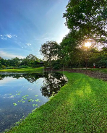 Téléchargez les photos : Eco-Lake au Jardin Botanique de Singapour - en image libre de droit