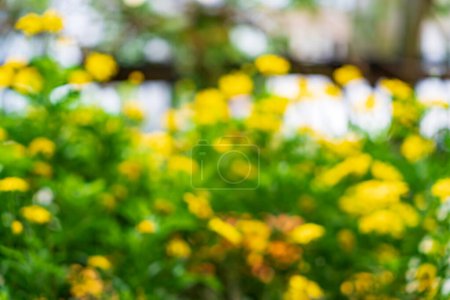Foto de Desenfoque de la flor de Cosmos amarillo sobre fondo azul translúcido en la luz del sol con el uso del espacio de copia como paisaje vegetal natural de fondo, concepto de cubierta de ecología. - Imagen libre de derechos