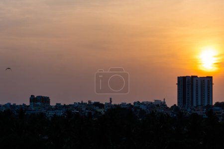 Photo for This image is about A golden hour city view with tree, Stock Photo and bird flying - Royalty Free Image