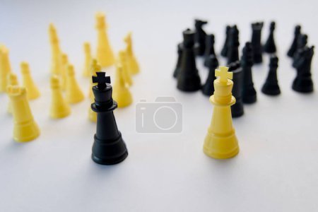 Elegantly crafted black and white chess pieces stand ready on a pristine white surface