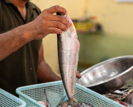 Ein verwitterter Fischer strahlt vor Stolz, als er seinen glitzernden Fang von Meeresfrüchten auf einem lebhaften Markt präsentiert