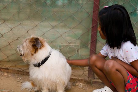 A young Asian girl kneels down in a sun-drenched kennel at a rural animal shelter, connecting with a friendly dog
