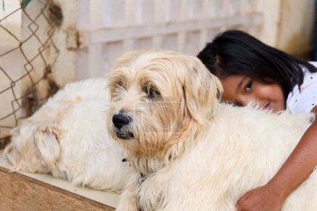 Téléchargez les photos : Une tendre scène d'une jeune fille agenouillée pour caresser doucement un chien dans un refuge - en image libre de droit