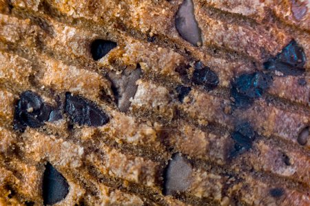 A delicious close-up photo of a single, warm, chewy chocolate chip cookie