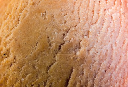 Extreme close-up macro photograph of a delicious butter biscuit