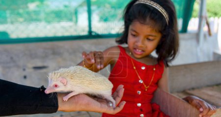 A young girl at the zoo kneels down to gently pet a curious hedgehog.