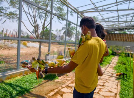 A man experiences a heartwarming moment feeding colorful parrots by hand in a beautiful outdoor space.