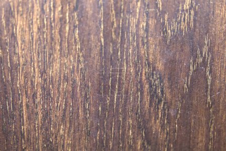 Photo for A high-resolution close-up photo of a natural wood grain texture, showcasing its intricate details, variations in color - Royalty Free Image