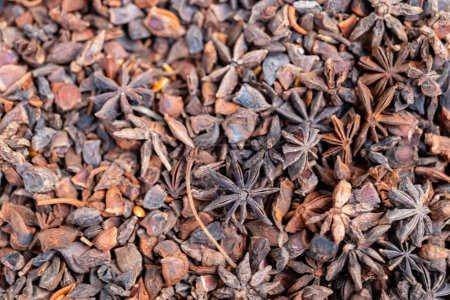 Une vue rapprochée d'abondantes gousses d'anis étoilé, mettant en valeur leur forme unique d'étoile et leur couleur brun riche. Utilisé en cuisine et en médecine traditionnelle