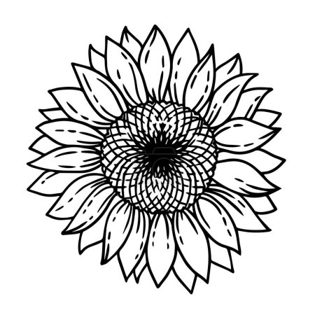 Illustration for Coloring book page for adults. Vector illustration of sunflower element. Black and white sketch - Royalty Free Image