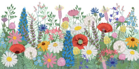 Téléchargez les illustrations : Illustration vectorielle dessinée main. Fond d'été fleurs sauvages. Prairie fleurie - en licence libre de droit