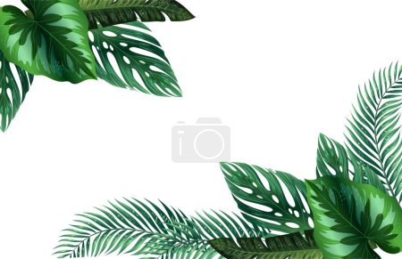 Hintergrund mit tropischen Monsterblättern und hellen Palmenwedeln für Banner, Flyer oder Cover mit Kopierraum für Text oder Symbol, Banner aus grünen tropischen Palmenblättern Monstera auf weißem Hintergrund. Flache Lage, Draufsicht.