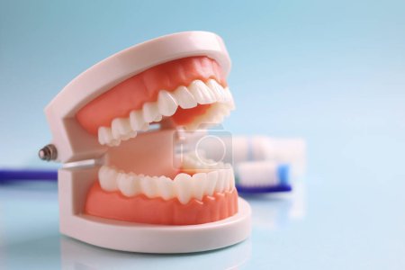 Téléchargez les photos : Dentistes outils et un modèle dentaire de dents sur un fond bleu fermer. Photo de haute qualité - en image libre de droit