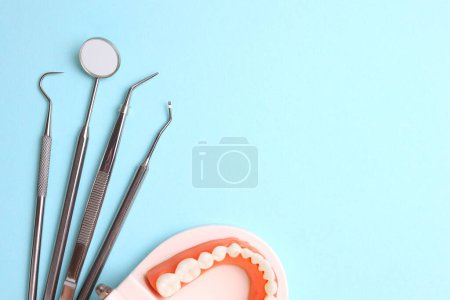 Foto de Herramientas dentistas y un modelo dental de dientes sobre un fondo azul de cerca. Foto de alta calidad - Imagen libre de derechos