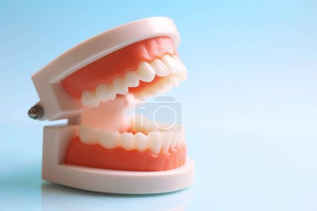Téléchargez les photos : Dentistes outils et un modèle dentaire de dents sur un fond bleu fermer. Photo de haute qualité - en image libre de droit