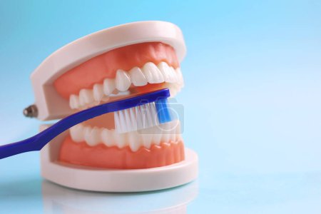 Photo for Dentists tools and a dental model of teeth on a blue background close up . High quality photo - Royalty Free Image