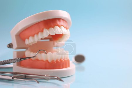 Foto de Herramientas dentistas y un modelo dental de dientes sobre un fondo azul de cerca. Foto de alta calidad - Imagen libre de derechos