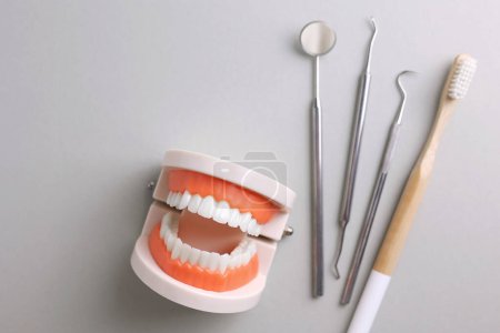 Téléchargez les photos : Concept de dentisterie. Modèle d'une dent et instruments dentaires sur un fond clair avec espace pour le texte. . Photo de haute qualité - en image libre de droit