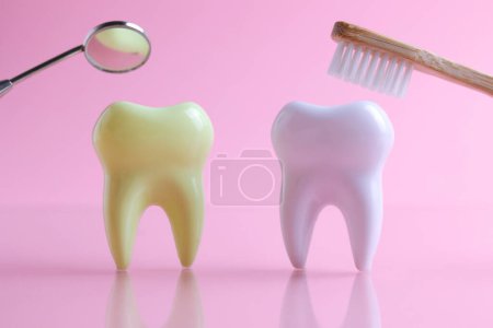 Téléchargez les photos : Concept de dentisterie. Modèle d'une dent et instruments dentaires sur un fond coloré avec espace pour le texte. . Photo de haute qualité - en image libre de droit