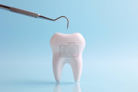 Photo for Dentistry concept. Model of a tooth and dental instruments on a colored background with space for text. . High quality photo - Royalty Free Image