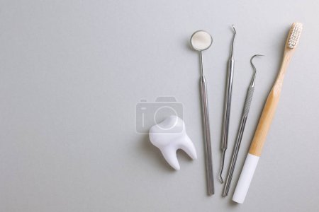 Téléchargez les photos : Concept de dentisterie. Modèle d'une dent et instruments dentaires sur un fond clair avec espace pour le texte. . Photo de haute qualité - en image libre de droit