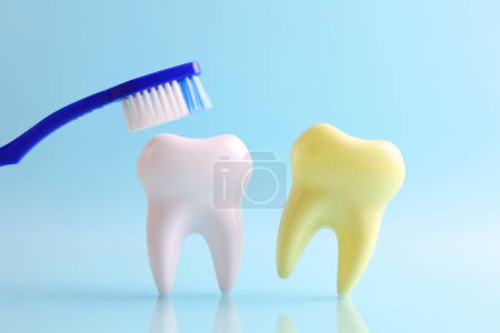 Téléchargez les photos : Concept de dentisterie. Modèle d'une dent et instruments dentaires sur un fond coloré avec espace pour le texte. . Photo de haute qualité - en image libre de droit