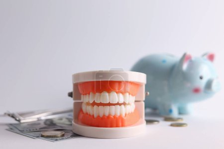 Photo for Dental model of teeth and money. The price of dental services. . High quality photo - Royalty Free Image