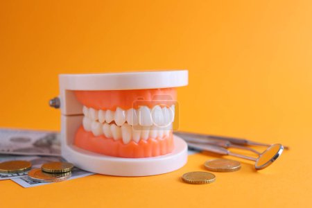Foto de Modelo dental de dientes y dinero. El precio de los servicios dentales. .. Foto de alta calidad - Imagen libre de derechos