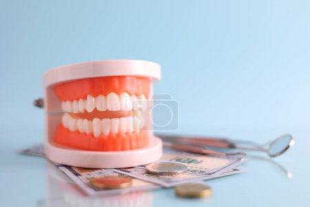 Téléchargez les photos : Modèle dentaire de dents et d'argent. Le prix des services dentaires. . Photo de haute qualité - en image libre de droit