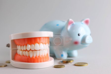 Photo for Dental model of teeth and money. The price of dental services. . High quality photo - Royalty Free Image