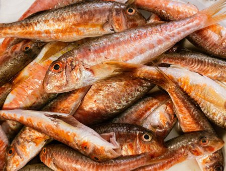 Foto de Pescado fresco Salmonete rojo, vista superior, pescado de mar de Barbel, pescado de Barbatus. Foto de alta calidad - Imagen libre de derechos