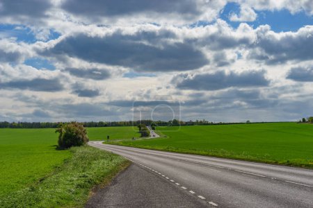 Road disappear into green landscape 