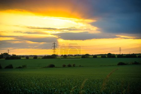 Foto de Torres eléctricas y prado verde al atardecer - Imagen libre de derechos