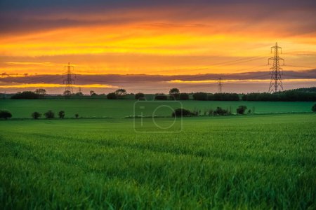 Photo for Electric towers and green meadow at sunset - Royalty Free Image