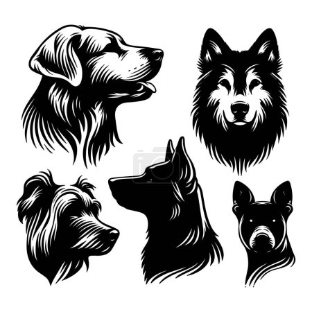Ilustración de Conjunto de siluetas de perro aisladas sobre fondo blanco, ilustración vectorial. - Imagen libre de derechos