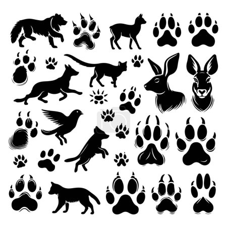 Silhouette verschiedener Tiere und ihr Fußabdruck