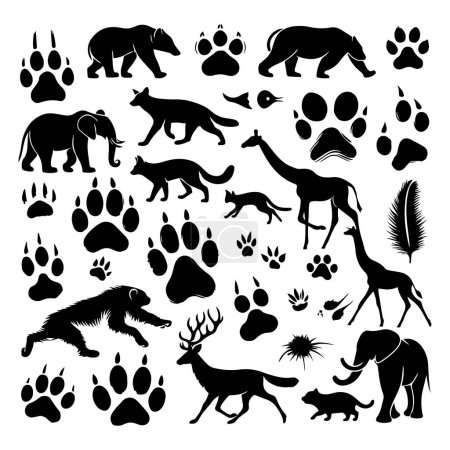 Silhouette verschiedener Tiere und ihr Fußabdruck