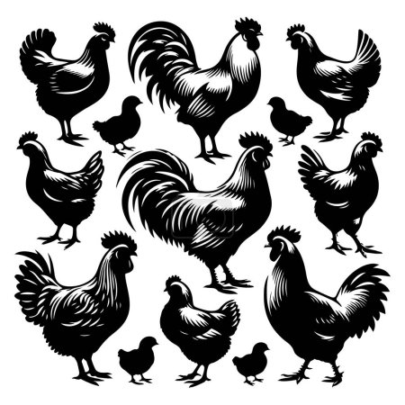 Illustration for Silhouette set of chicken - Royalty Free Image