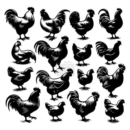 Silhouette set of chicken
