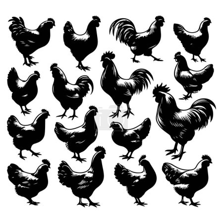 Ensemble de silhouette de poulet