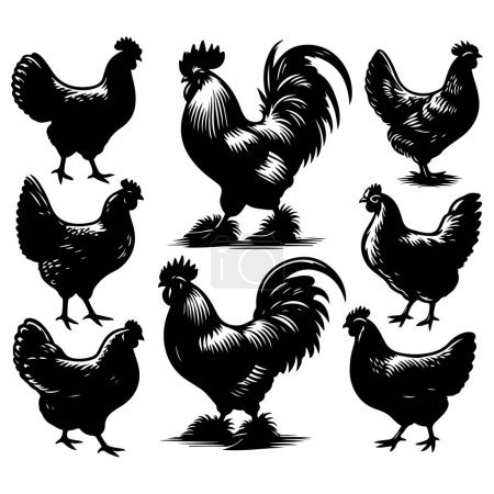 Silhouette set of chicken