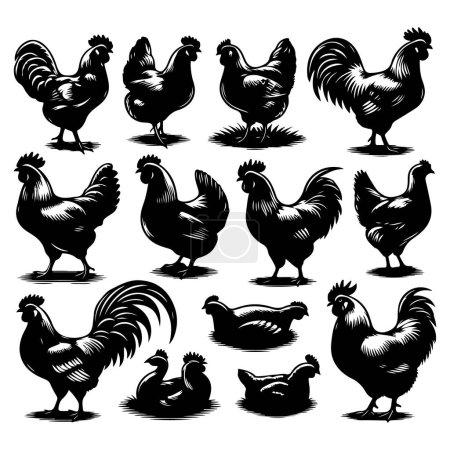 Illustration for Silhouette set of chicken - Royalty Free Image