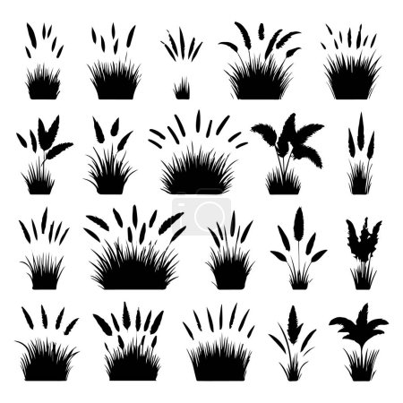 Silhouette set of grass. Vector isolated illustration