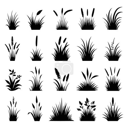 Silhouette set of grass. Vector isolated illustration