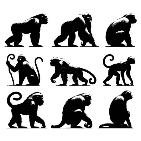 Silhouette set of ape animals. Vector isolated illustration