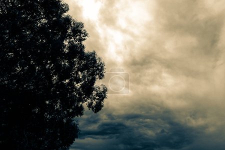 Photo for Dramatic sky in Te Anau, New Zealand a stormy day. The photo was taken a rainy day in November 2023. - Royalty Free Image